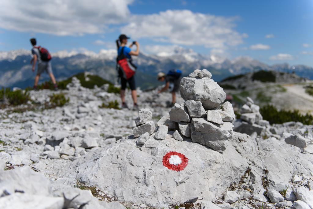 Penzion Vila Bistrica Bohinjska Bistrica Exterior foto